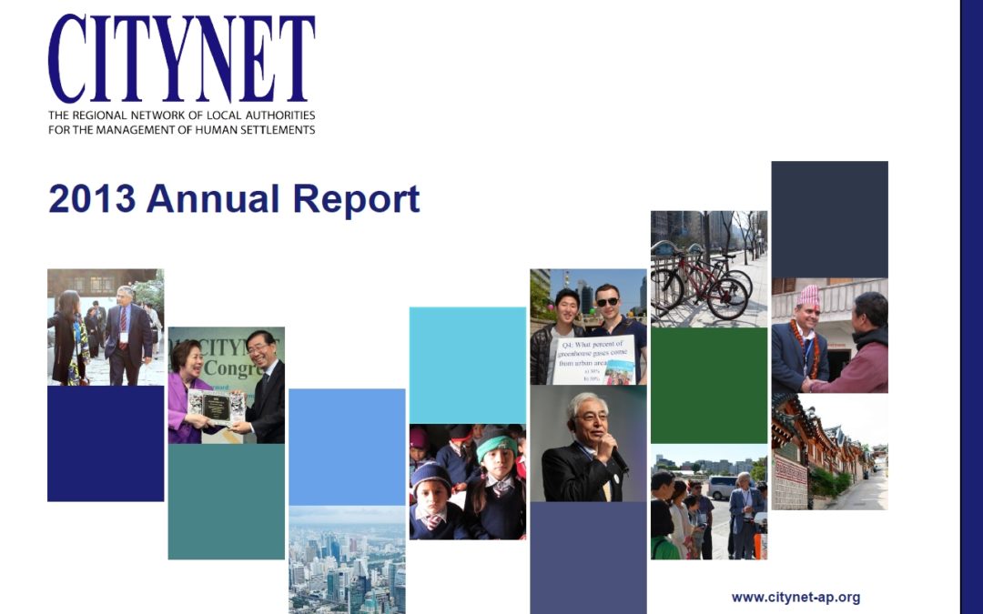 CITYNET Annual Report 2013