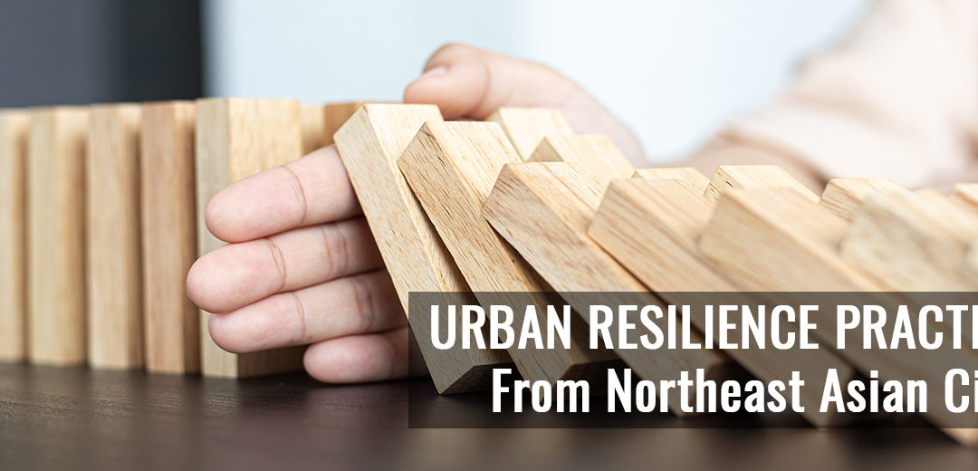 Urban Resilience Practices